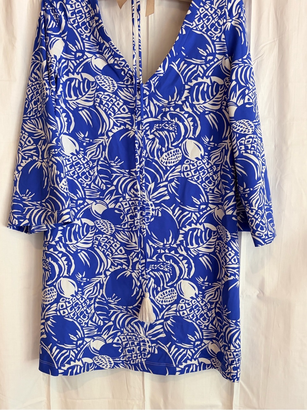 Persifor Pineapple Blue and White Printed Mini Dress with V-Neck Tassel Detail